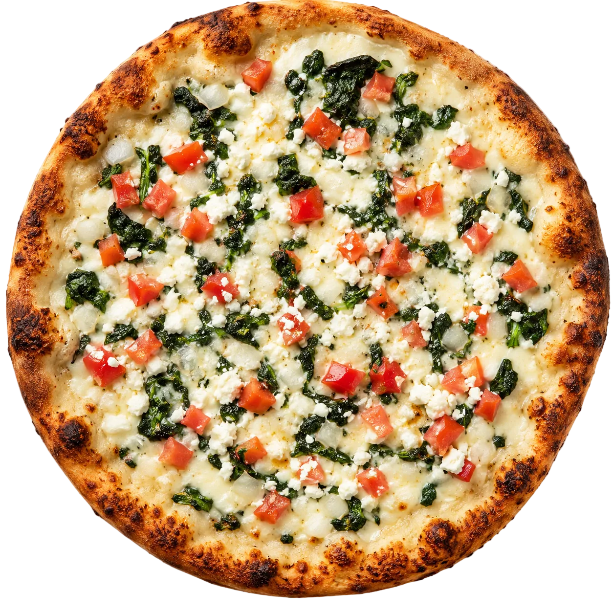 VEGETARIAN PIZZAS