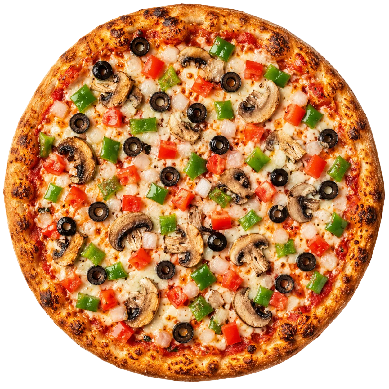 VEGE_PIZZA